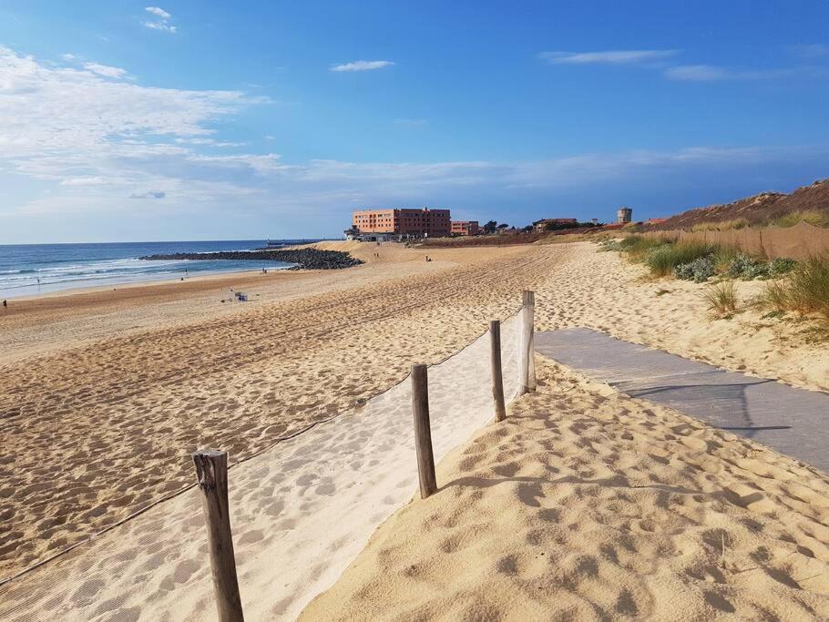 Cocooning et plages - 2