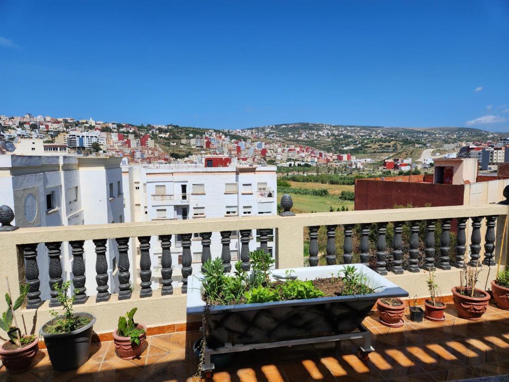 Tanger méditerranée, Tanger