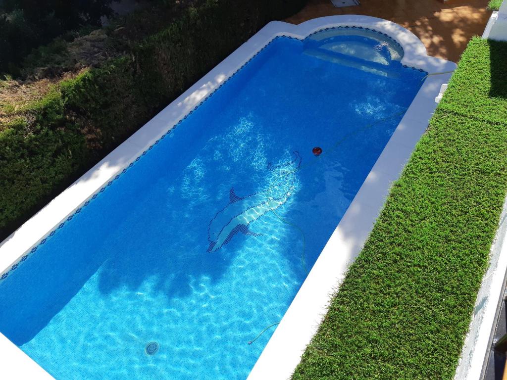 Ferienwohnung mit Privat-Pool - 1