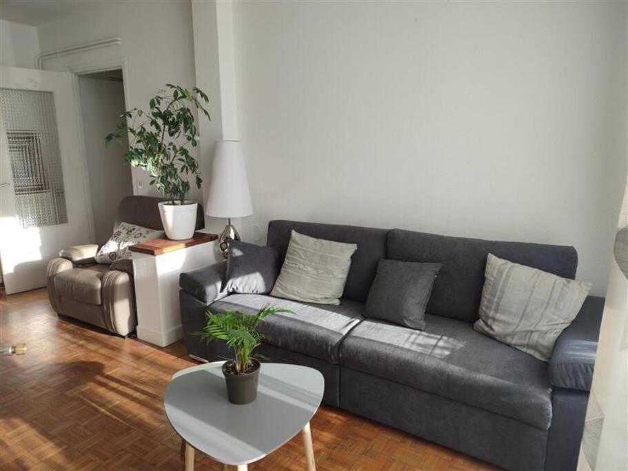 Appartement spacieux cosy en hypercentre proximité Cathédrale, Coliseum - 1