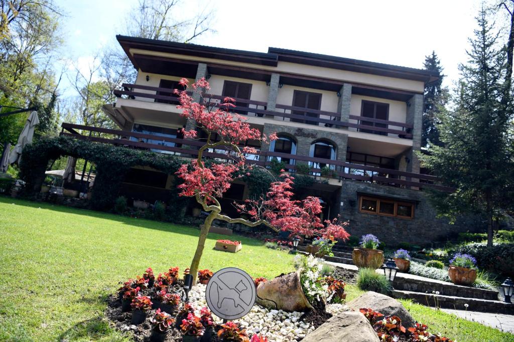 Hotel Restaurant Dreri photo