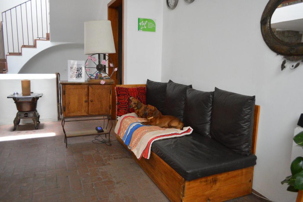 Casa Grana Cochinilla photo