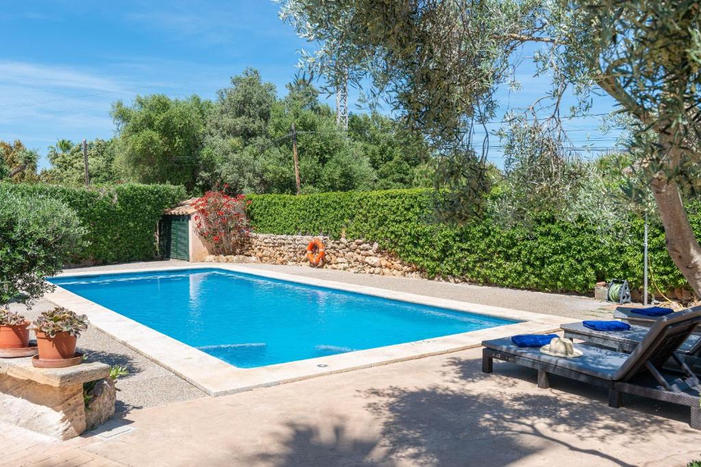 Es Pujolet - Alcudia - 4