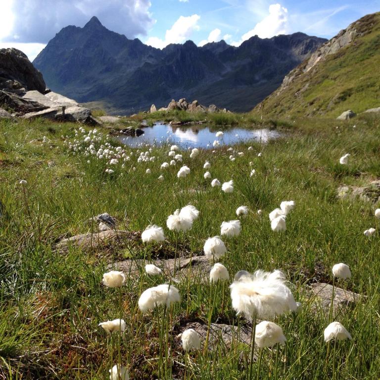 Alpenpension Maderer - 3