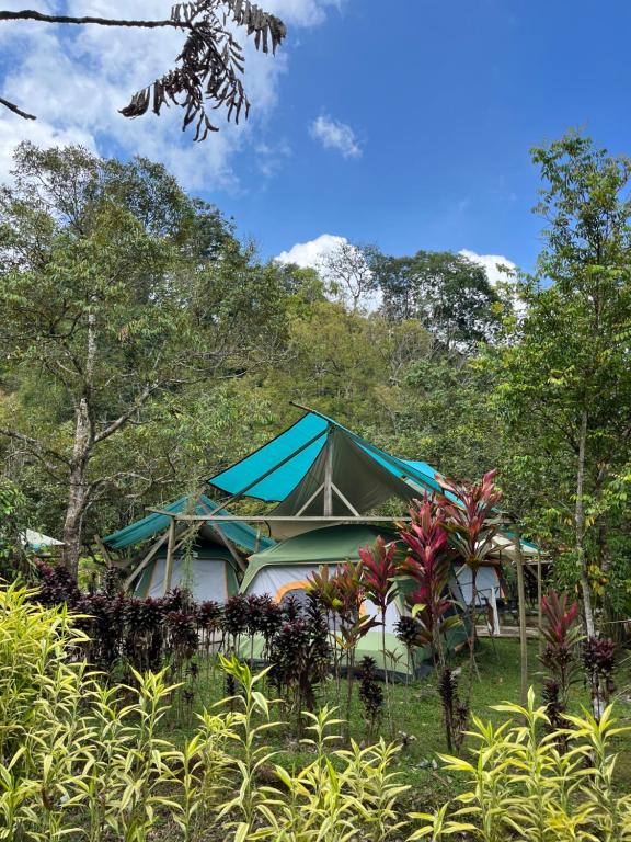 Surrounding environment