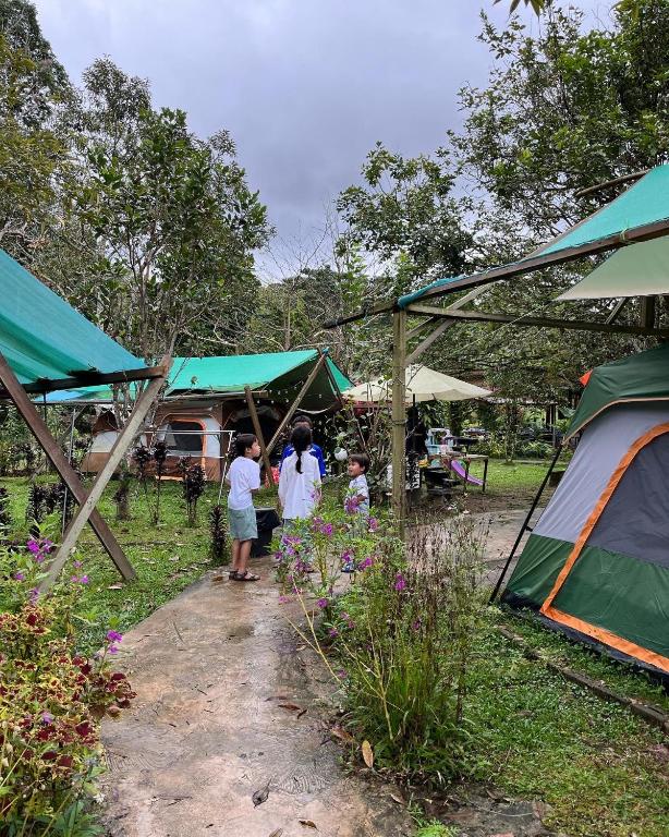 Surrounding environment