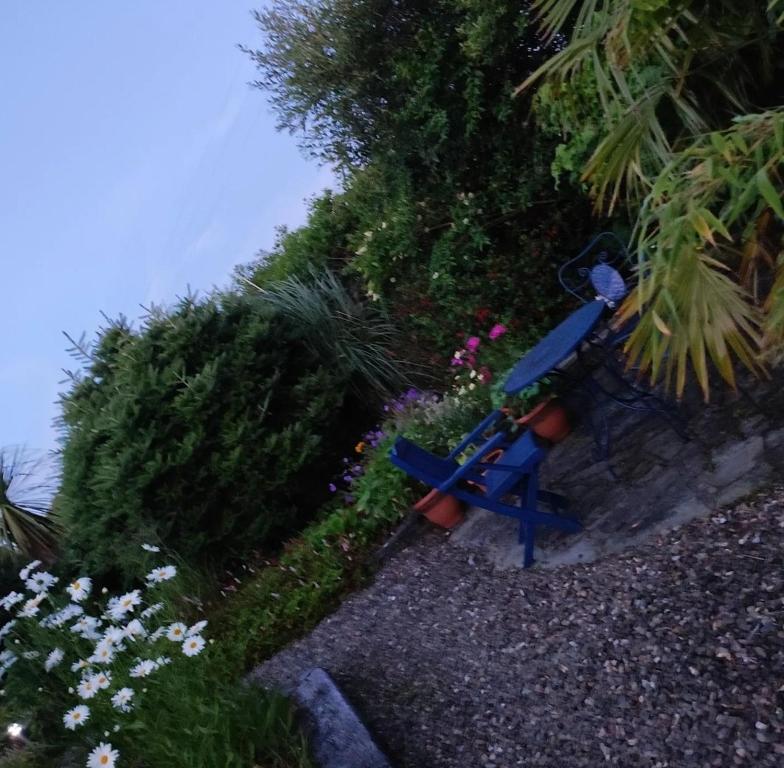 Apartments at Ballinsheen House & Gardens photo