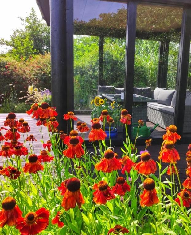 Apartments at Ballinsheen House & Gardens photo