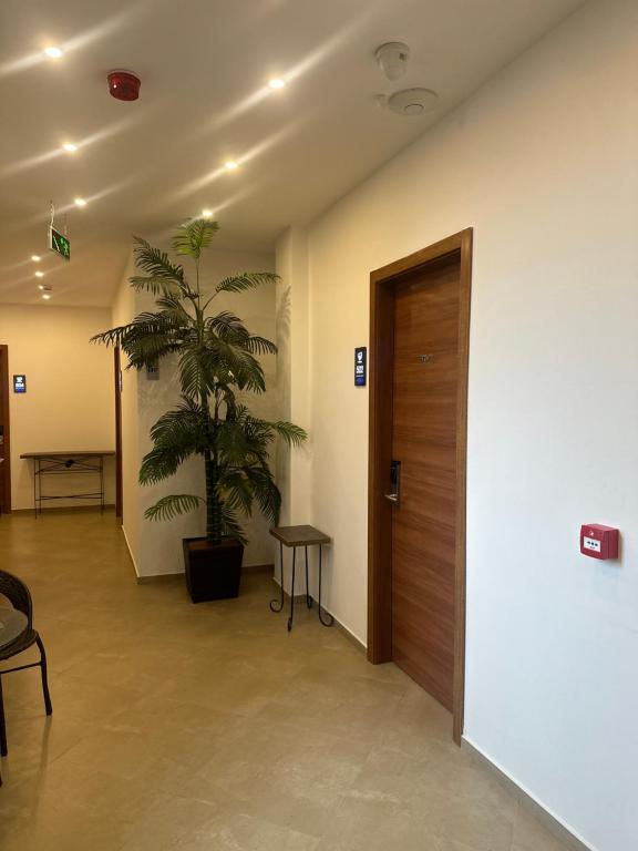 Hotel Homey Kobuleti photo