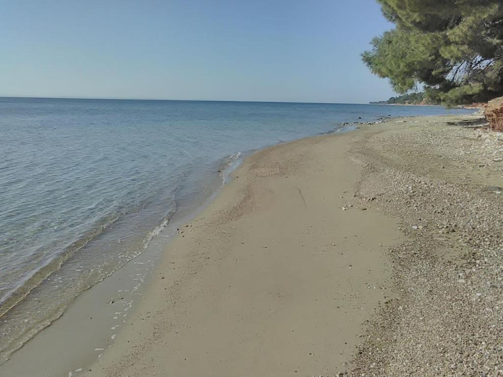 Sea And House photo