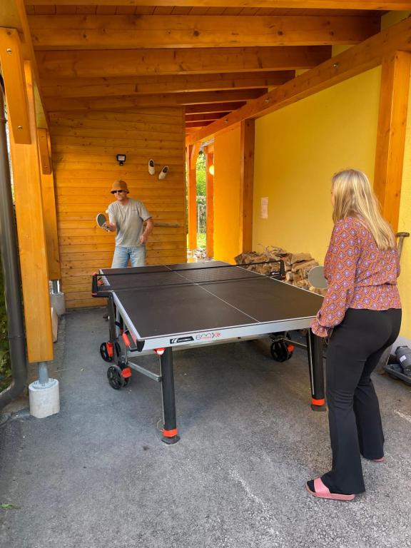 Dreiländerblick, Sauna en tafeltennis en 150 meter van piste - 5