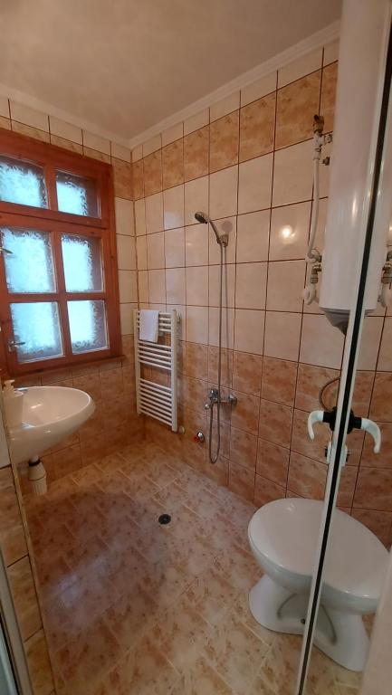 Vitosha Guest House photo