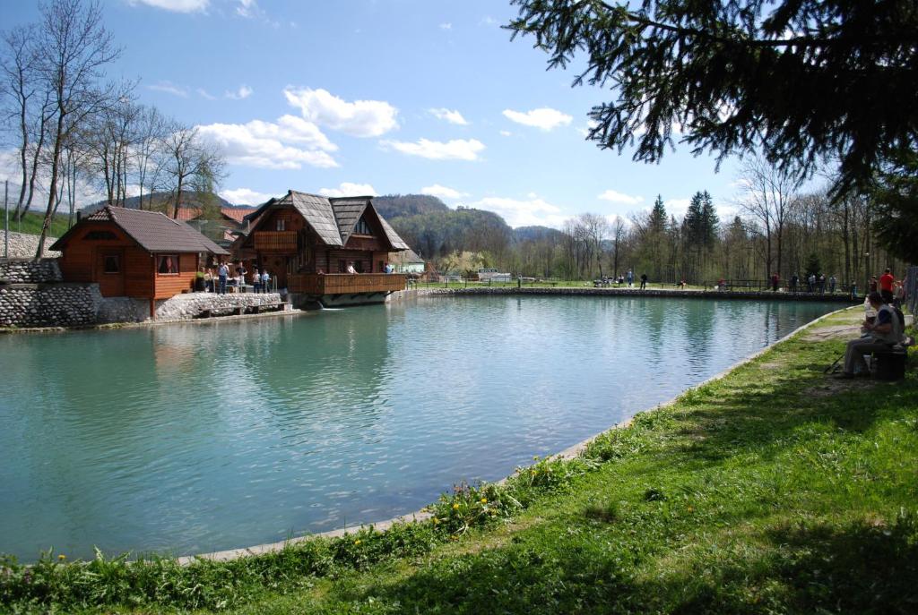 Apartma Mihovc photo