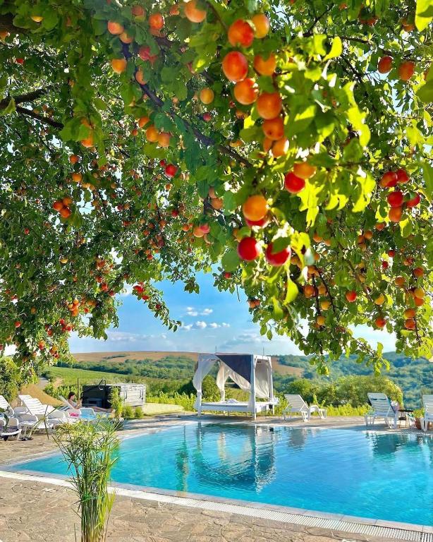 Hilltop Borbirtok &amp; Etterem — Hotel in Budapest
