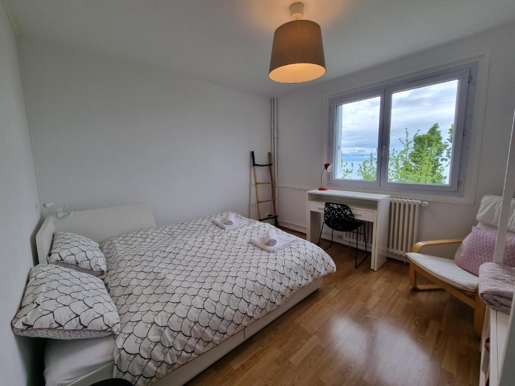 Vue Lac, Central et Contemporain - 2