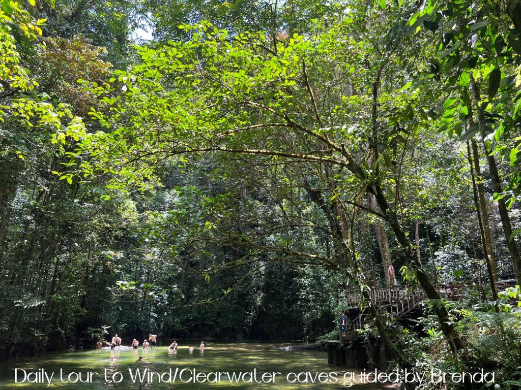 Surrounding environment