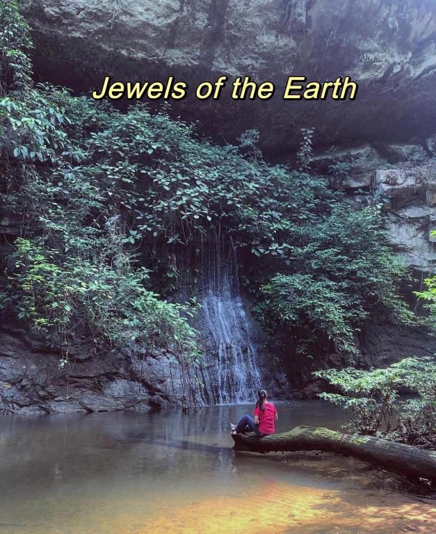 Surrounding environment