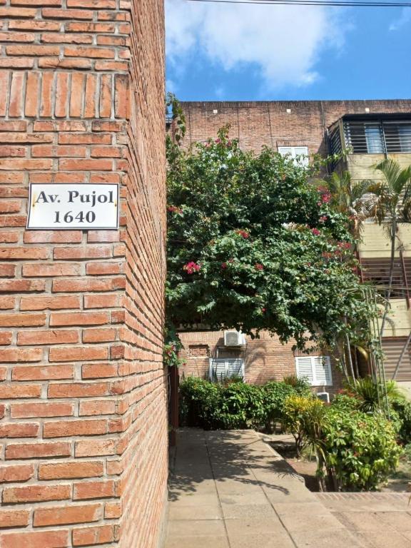Temporario Av Pujol - 1