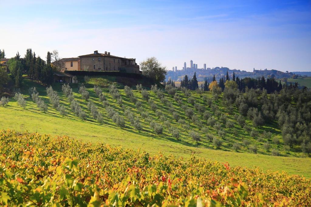 Agriturismo Montegonfoli - 1