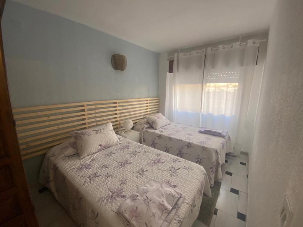 Apartamento Mevia Playa San Cristóbal - 5