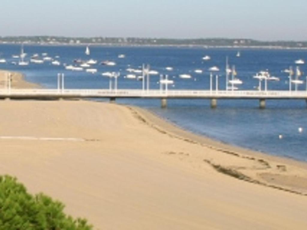 Appartement 4 chambres au dernier étage avec immense terrasse face au Bassin à Arcachon - FR-1-420-122 - 4