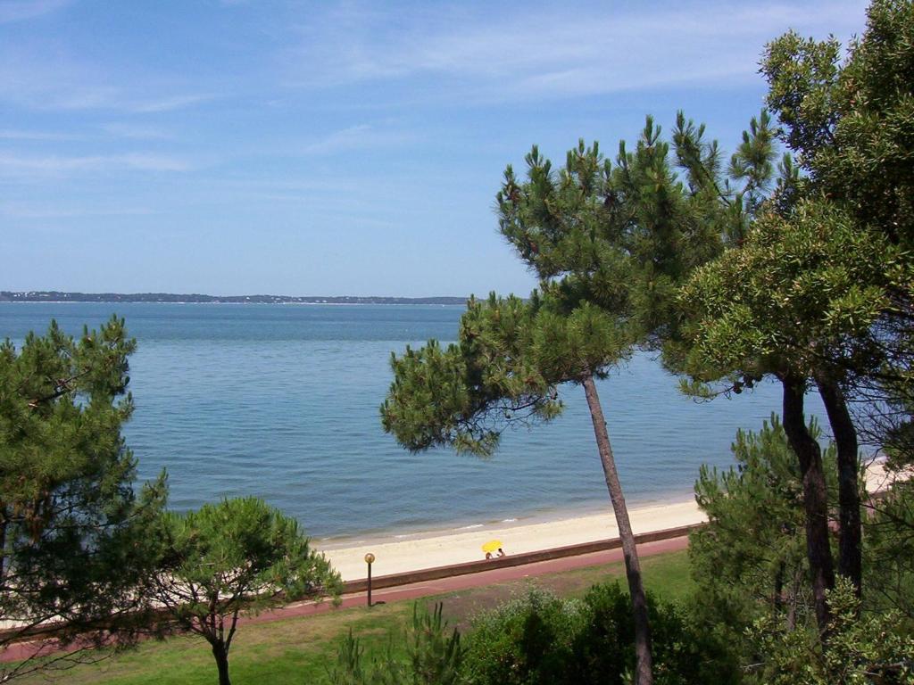 Appartement 4 chambres au dernier étage avec immense terrasse face au Bassin à Arcachon - FR-1-420-122 - 5