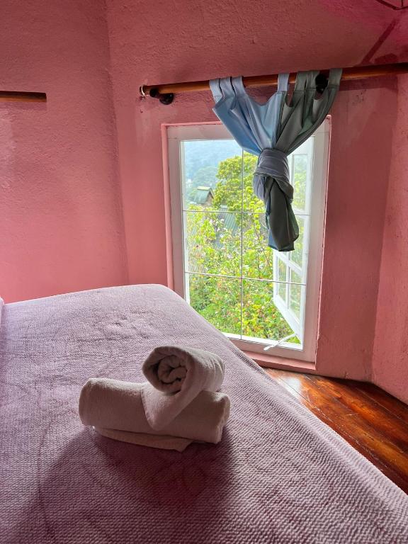 Sincere Wilderness Home stay photo