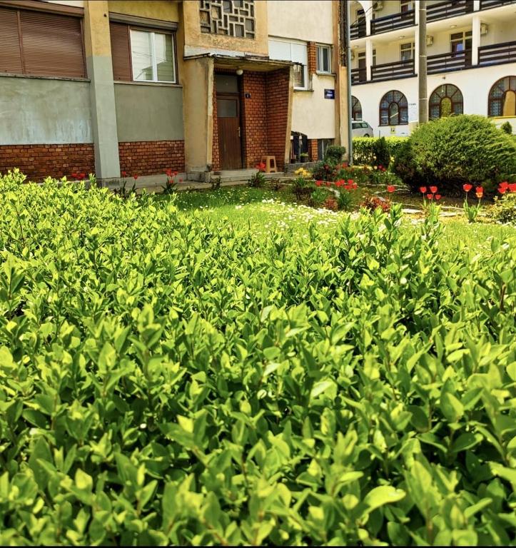 Apartman Mali Raj Rudnik II, Rudnik