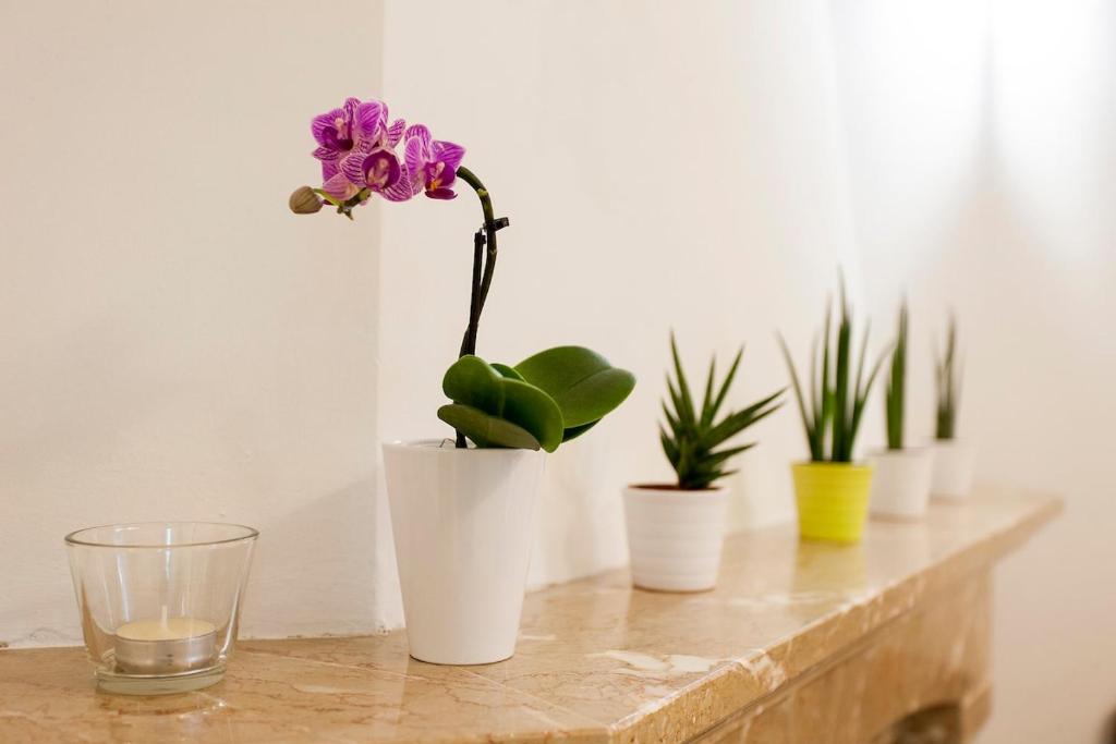 Ginjinha House - 4 Rooms - Bairro Alto - with AC! photo