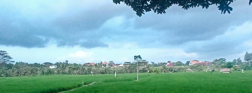 D&#8217; Tegal House