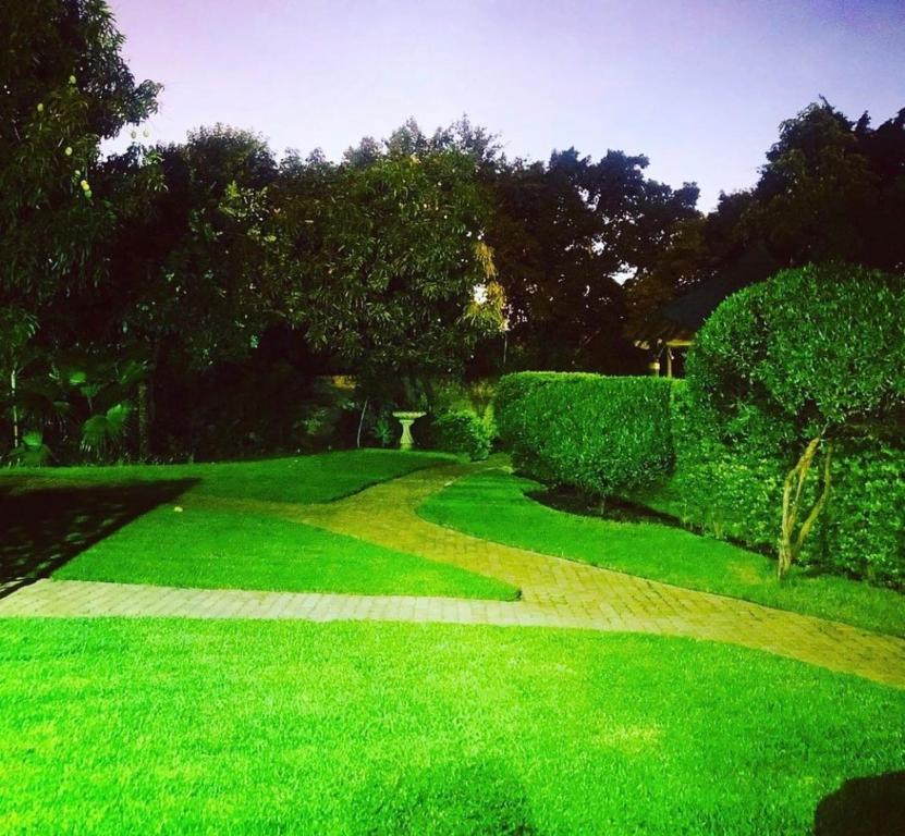 Ankuweni Guest house photo
