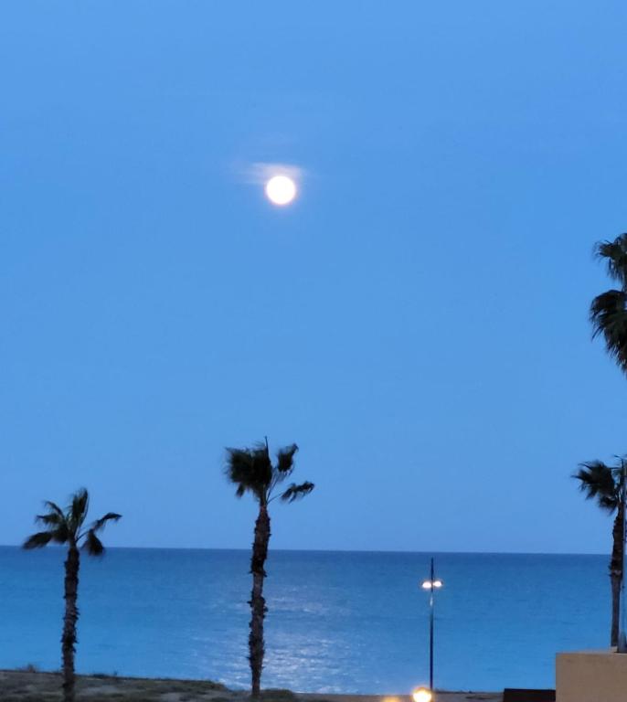 Apartamento 50m de la playa- Wifi-Aire acondicionado - 4