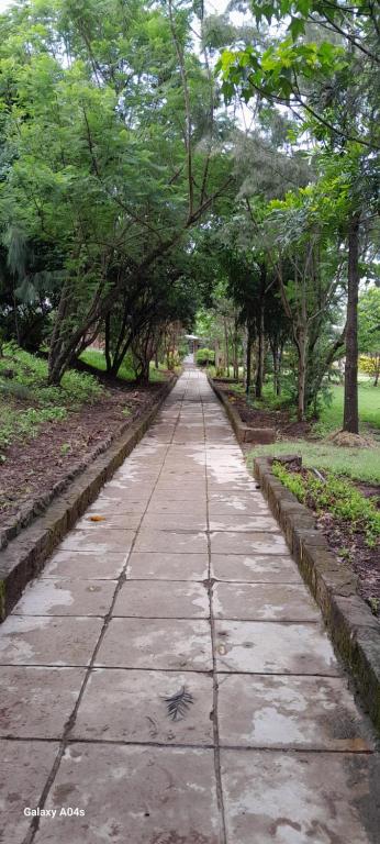 Esikar Gardens Hotel photo