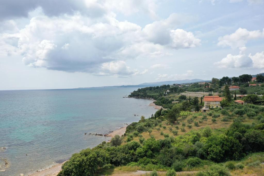 Alexandros Apartments & Αλεξανδρος Villas photo