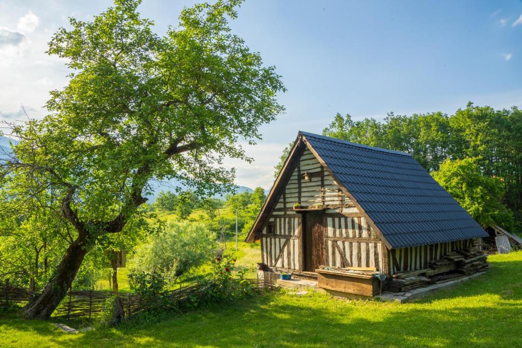 Djurdjevina Family Farm - 2