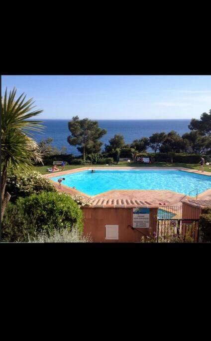 Appart vue mer panoramique magique - 4