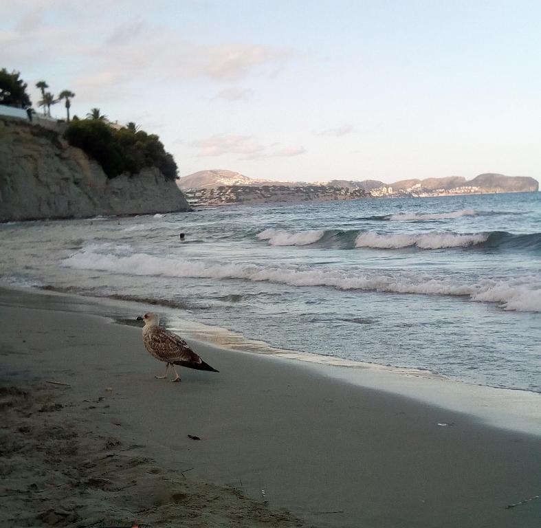 SANTA MARTA Atico - 2