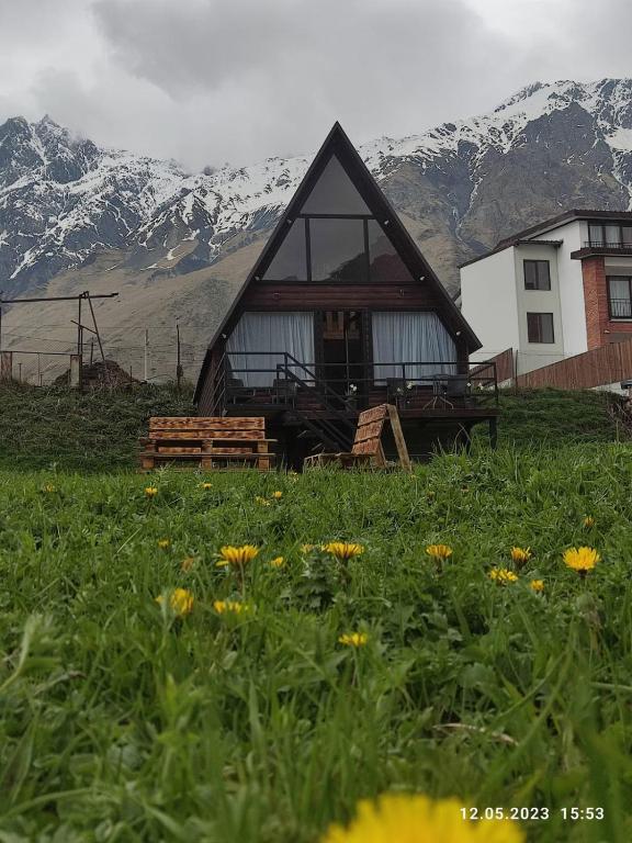 Rocky Views, Stepancminda