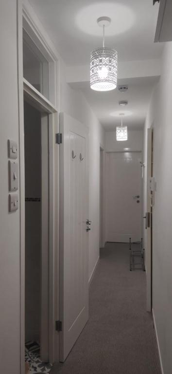 Nice (Clarendon Court Torquay) - photo 3