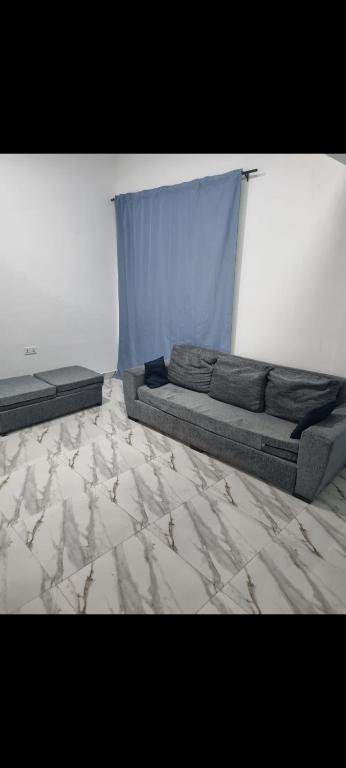 nanas@TEMA C11, Tema