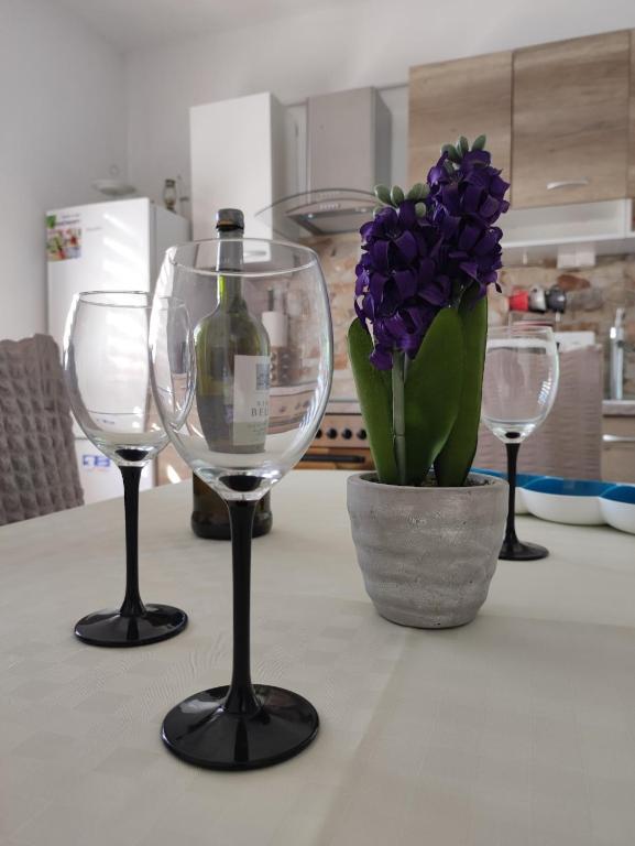 Apartmani Žak, Pridraga