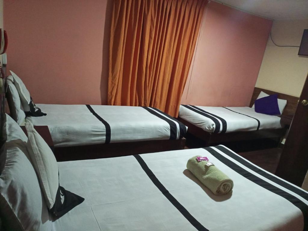 Isabela Hotel photo