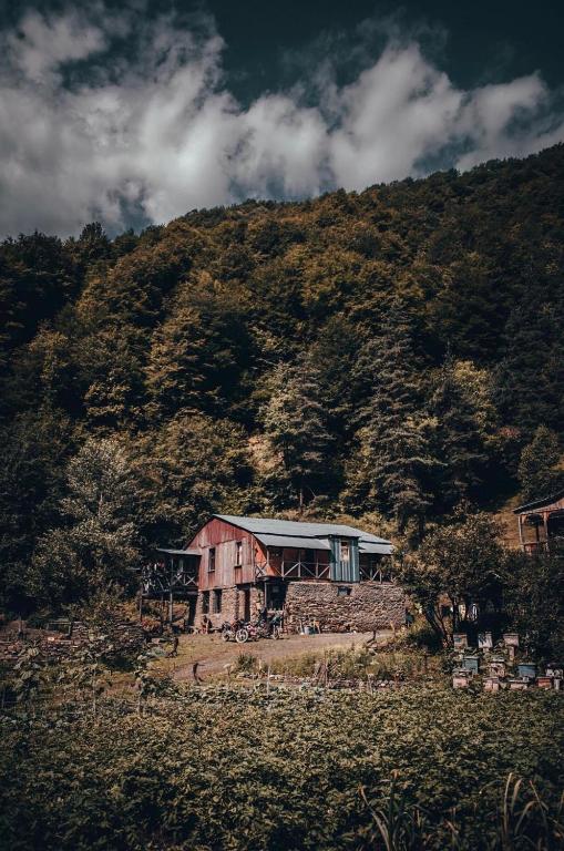 Korsha Guesthouse — Hotel in Jut'A