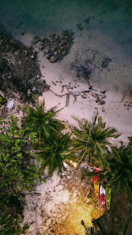 Surrounding environment