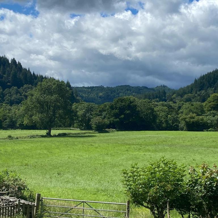 Tyddyn Bach Bunkhouse photo 4