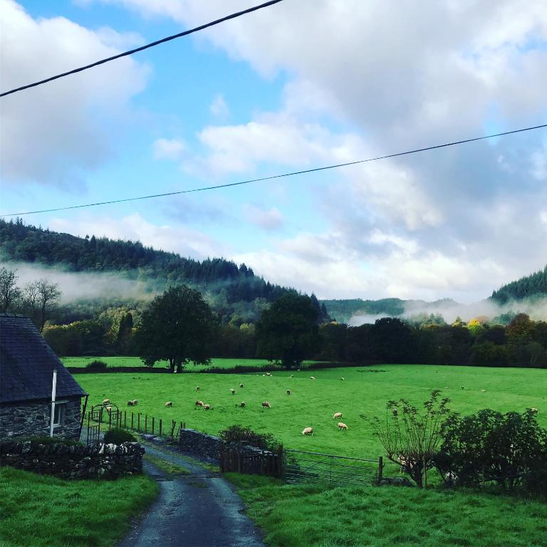Tyddyn Bach Bunkhouse photo 3