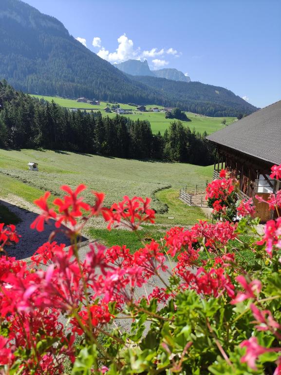 Polzhof - 2