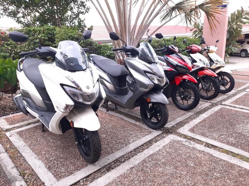 Sports and activities