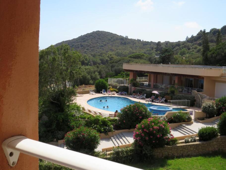 Bel app T2 en bord de Mer vue Sanquinaires piscine - 3
