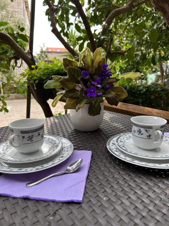 Guesthouse Klecak photo